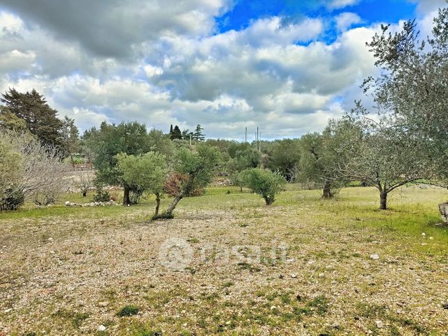 Terreno agricolo in commerciale in Contrada marchione