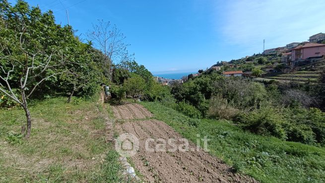 Terreno agricolo in commerciale in Strada Tasciaire