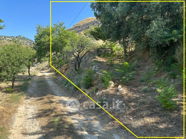 Terreno agricolo in commerciale in Contrada TRAPPETO