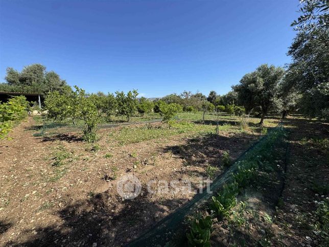 Terreno agricolo in commerciale in 