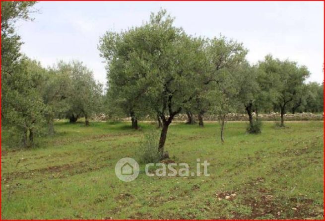 Terreno edificabile in residenziale in Strada Provinciale 180