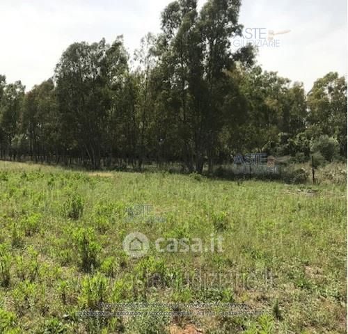 Terreno edificabile in residenziale in Località Magangiosa