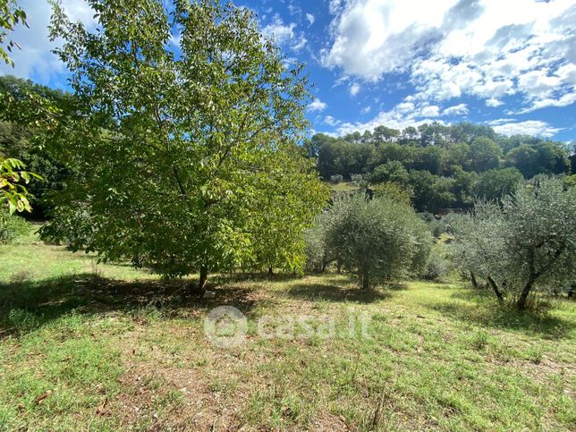 Terreno agricolo in commerciale in Via Madonna della Strada