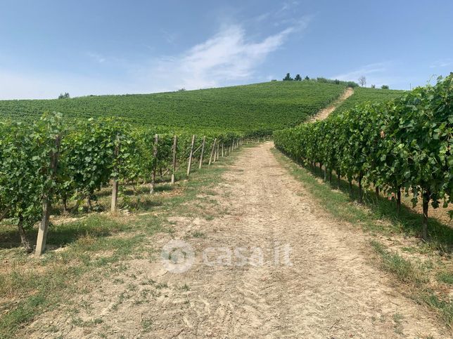 Terreno agricolo in commerciale in Strada Bricco