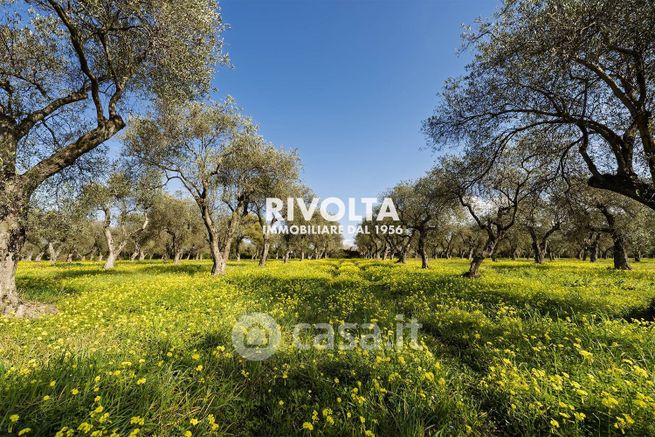 Terreno agricolo in commerciale in Strada Statale 291 della Nurra