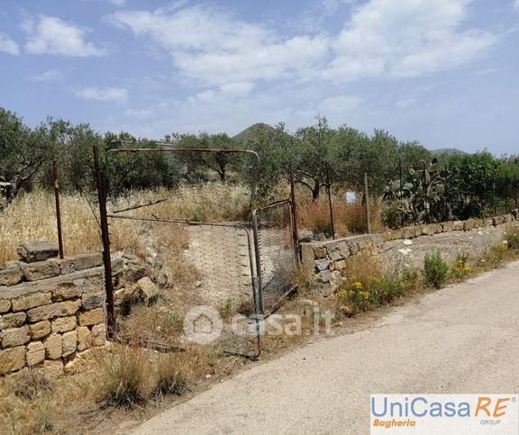 Terreno agricolo in commerciale in Contrada gurgo