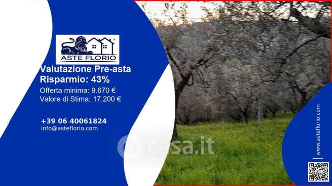 Terreno agricolo in commerciale in Via Aielle Pastolica