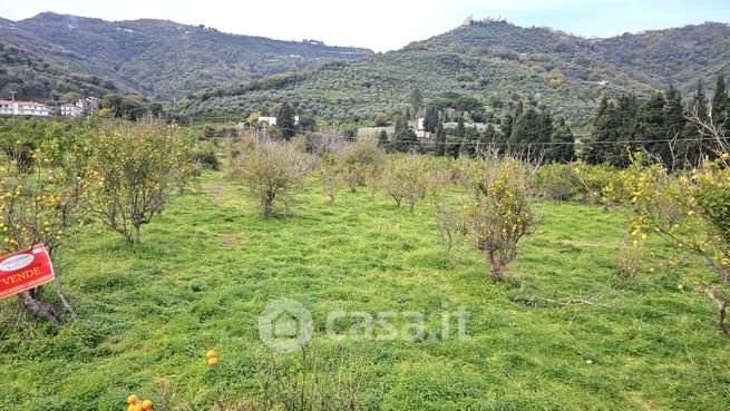 Terreno agricolo in commerciale in Contrada Fiumara