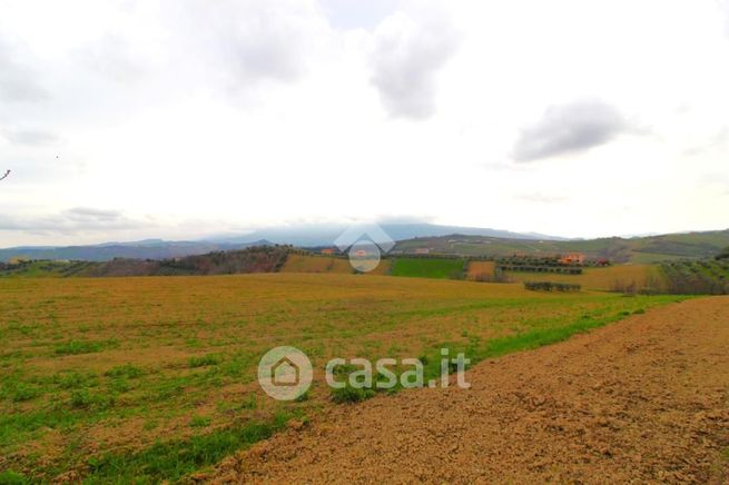 Terreno agricolo in commerciale in 