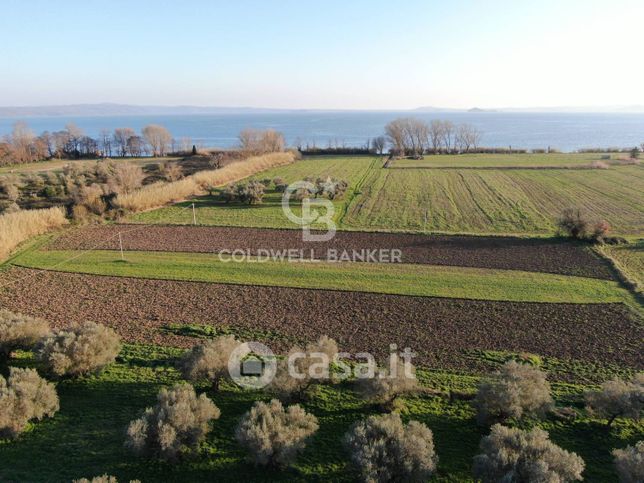 Terreno agricolo in commerciale in Via Cassia Nord