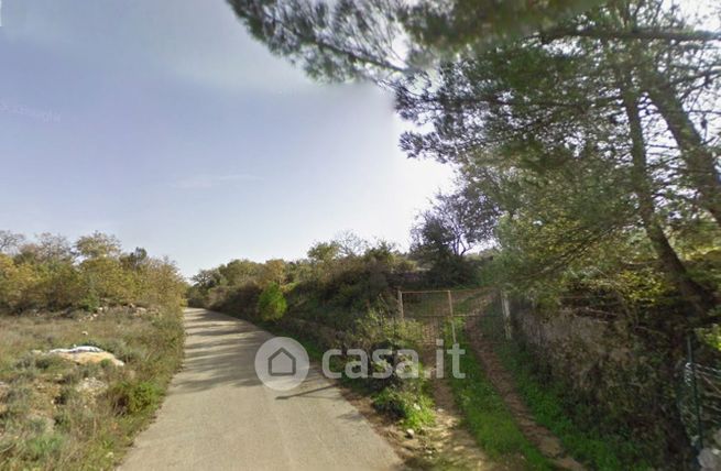 Terreno agricolo in commerciale in Strada Provinciale 24
