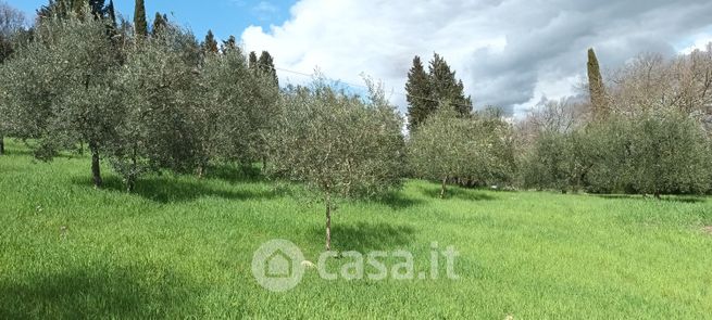 Terreno agricolo in commerciale in Via della Cinciallegra