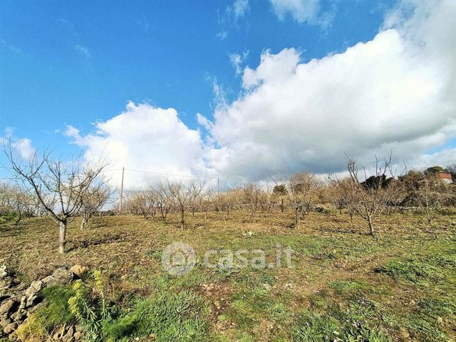 Terreno agricolo in commerciale in Via Calatafimi 0 SN