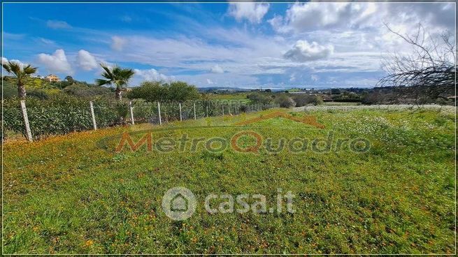 Terreno agricolo in commerciale in 