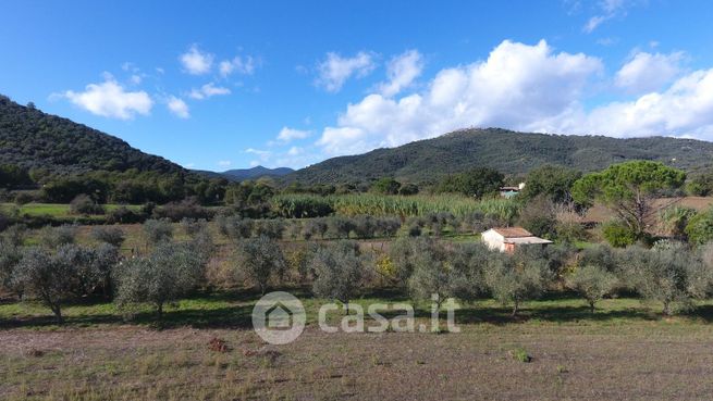 Terreno agricolo in commerciale in Località Vaticino
