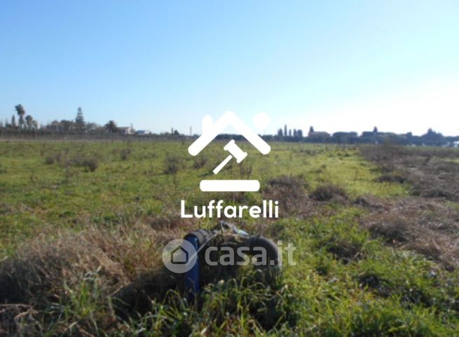 Terreno agricolo in commerciale in Piazza del Popolo