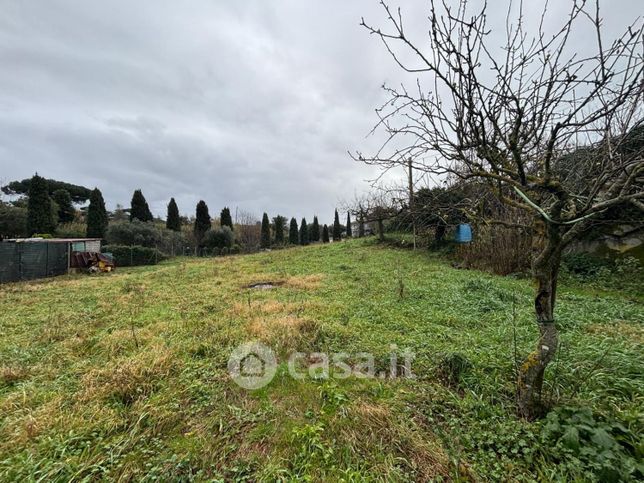 Terreno agricolo in commerciale in Via Castagnole di Sotto