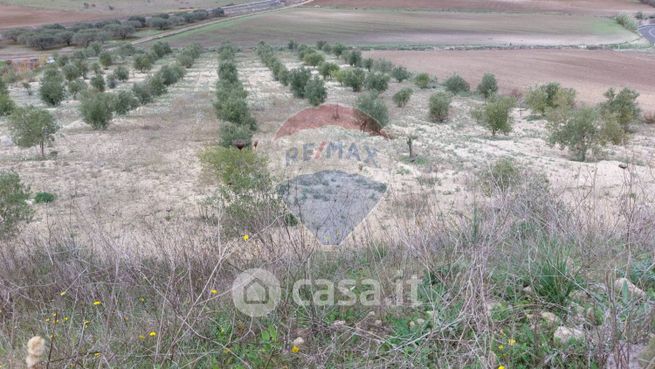 Terreno agricolo in commerciale in Strada Statale 124