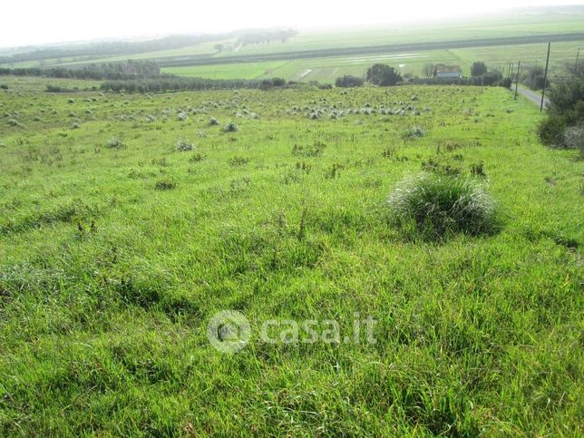 Terreno agricolo in commerciale in San donato