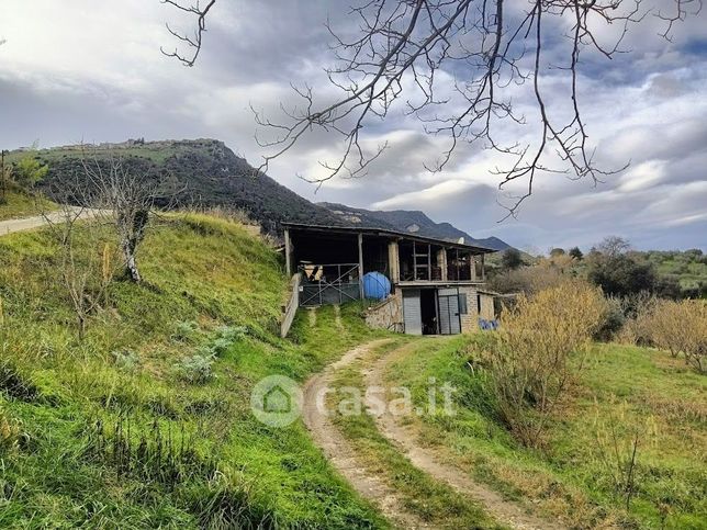 Terreno agricolo in commerciale in Loc. I Bassi