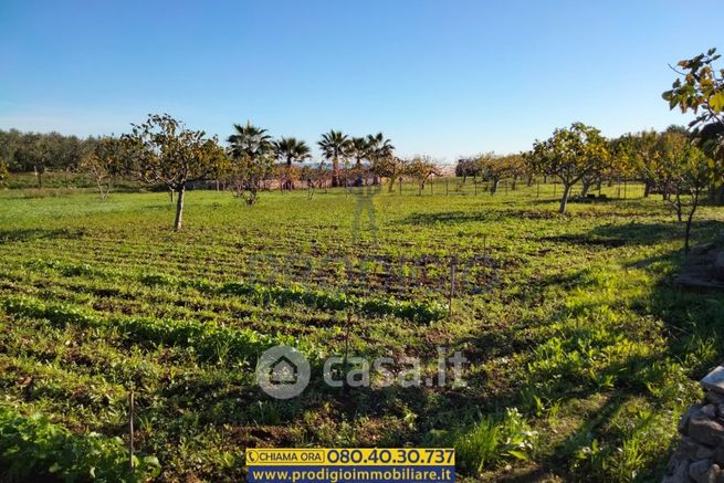 Terreno agricolo in commerciale in Via Pantano