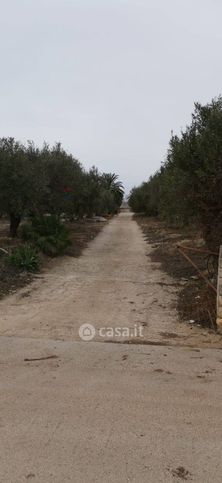 Terreno agricolo in commerciale in Contrada Arizza
