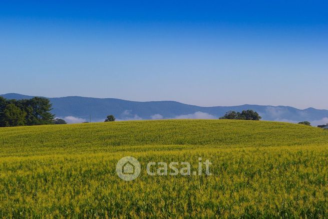 Terreno agricolo in commerciale in Via Silvello