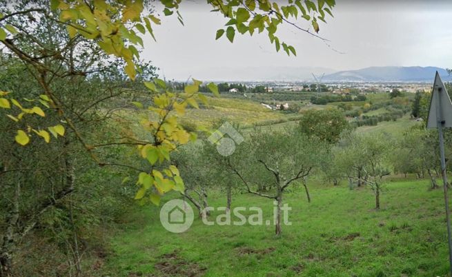 Terreno agricolo in commerciale in Via di Casignano 27