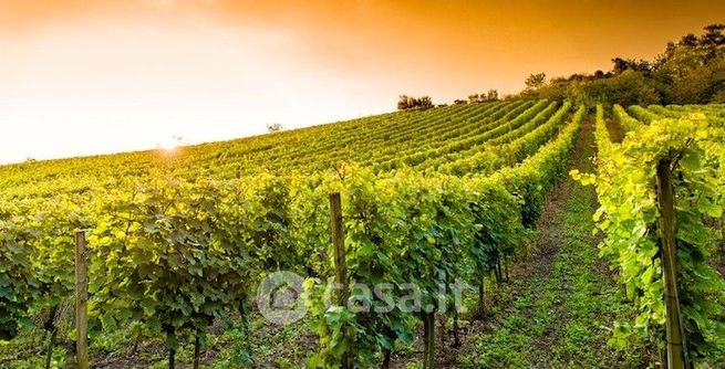 Rustico/casale in residenziale in 