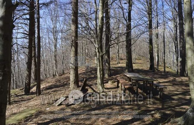 Terreno agricolo in commerciale in Via Eugenio Montale