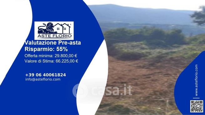 Terreno agricolo in commerciale in Strada Senza Nome