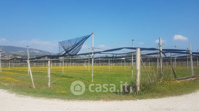 Terreno agricolo in commerciale in 