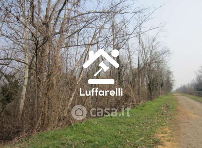 Terreno agricolo in commerciale in Località Scagni