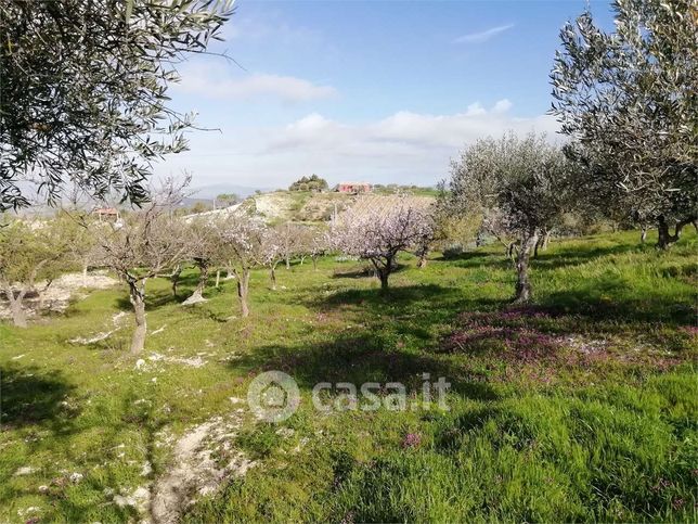 Terreno agricolo in commerciale in Strada Provinciale 33