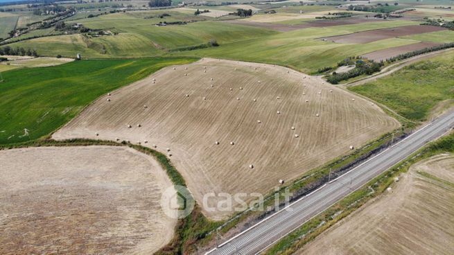 Terreno agricolo in commerciale in Località Argento