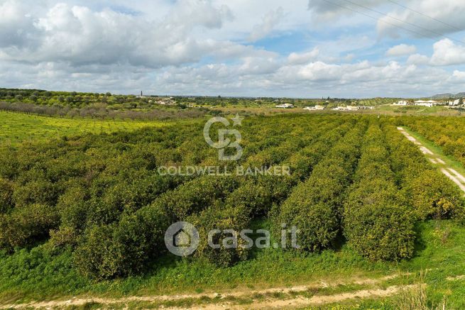 Terreno agricolo in commerciale in Strada Provinciale 51