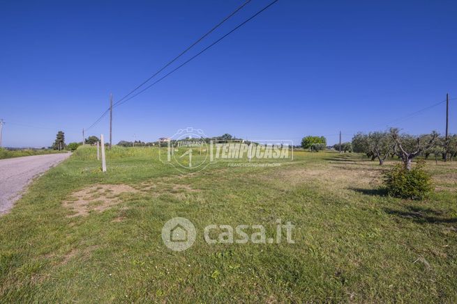 Terreno agricolo in commerciale in