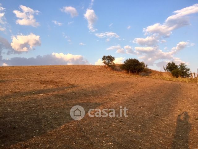 Terreno agricolo in commerciale in Via di Valle Caia