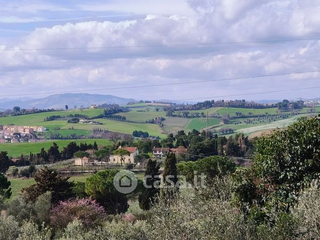 Terreno agricolo in commerciale in Strada della Campanara