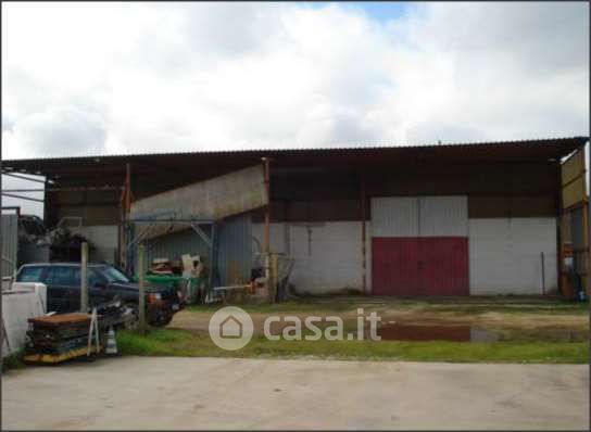 Capannone in commerciale in Via Linosa