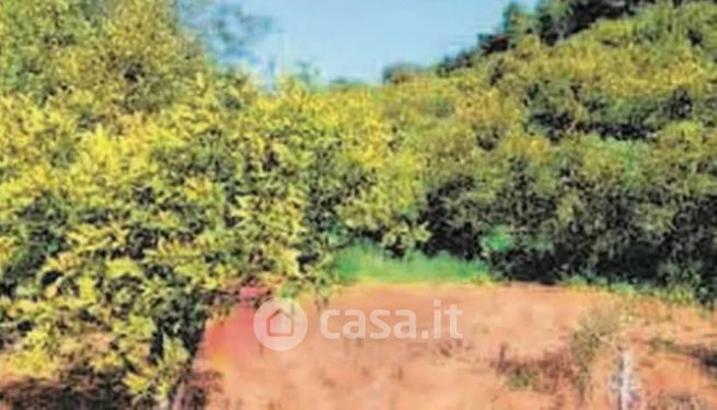 Terreno agricolo in commerciale in Piazza Madonna della Consolazione