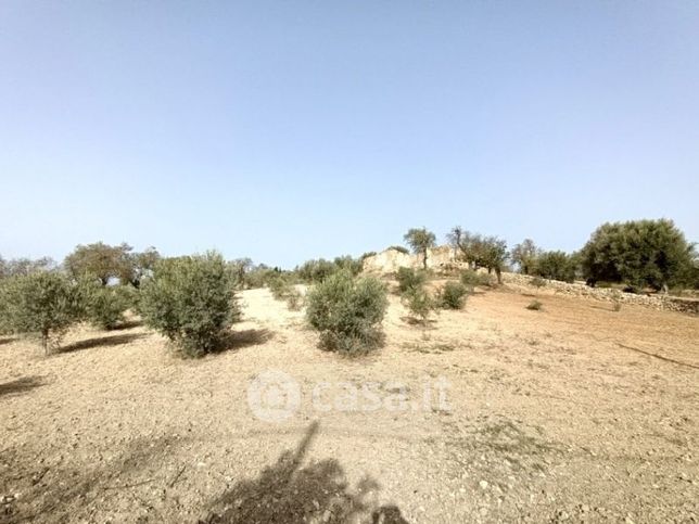 Terreno agricolo in commerciale in SP59