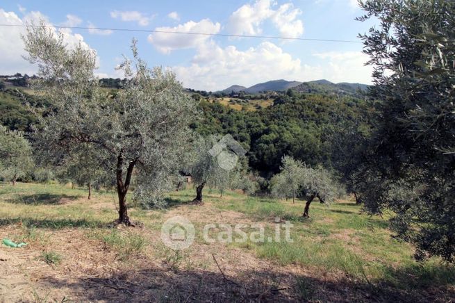 Terreno agricolo in commerciale in Via Rocca