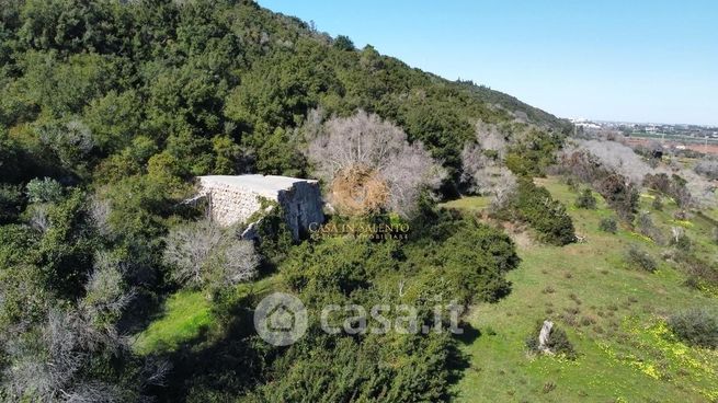 Terreno agricolo in commerciale in Strada Provinciale 242 242