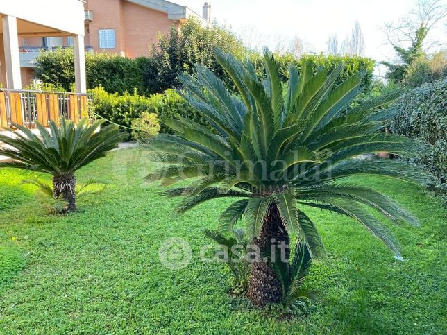 Casa indipendente in residenziale in Viale delle Ginestre 60