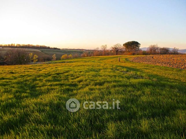 Terreno agricolo in commerciale in Via Case Sparse