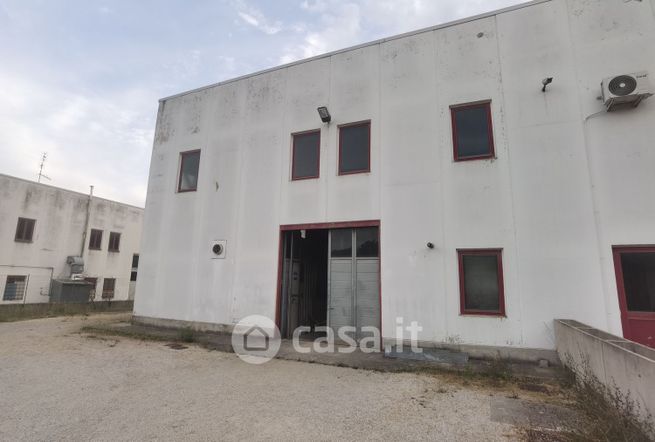 Capannone in commerciale in Ellera
