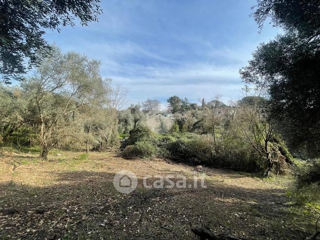 Terreno agricolo in commerciale in Via della Piscina