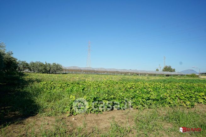 Terreno agricolo in commerciale in Via BOSCARIELLO