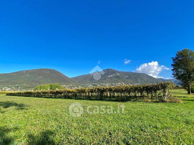 Terreno agricolo in commerciale in Piazza Alberto Stringa 13